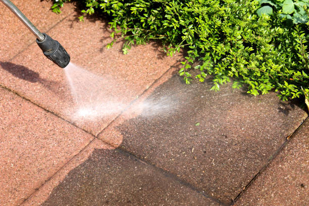 Best Pressure Washing Estimates  in Mills, WY