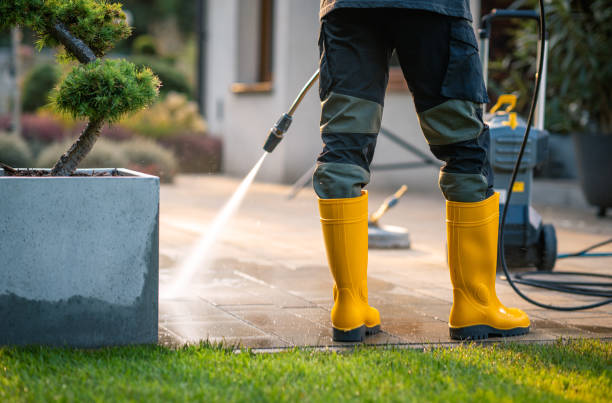 Best Pressure Washing Company Near Me  in Mills, WY